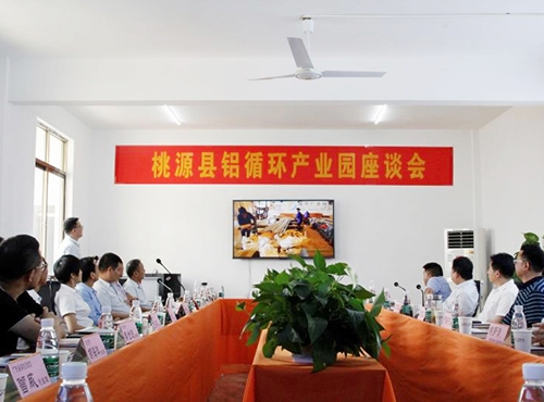 发展座谈会